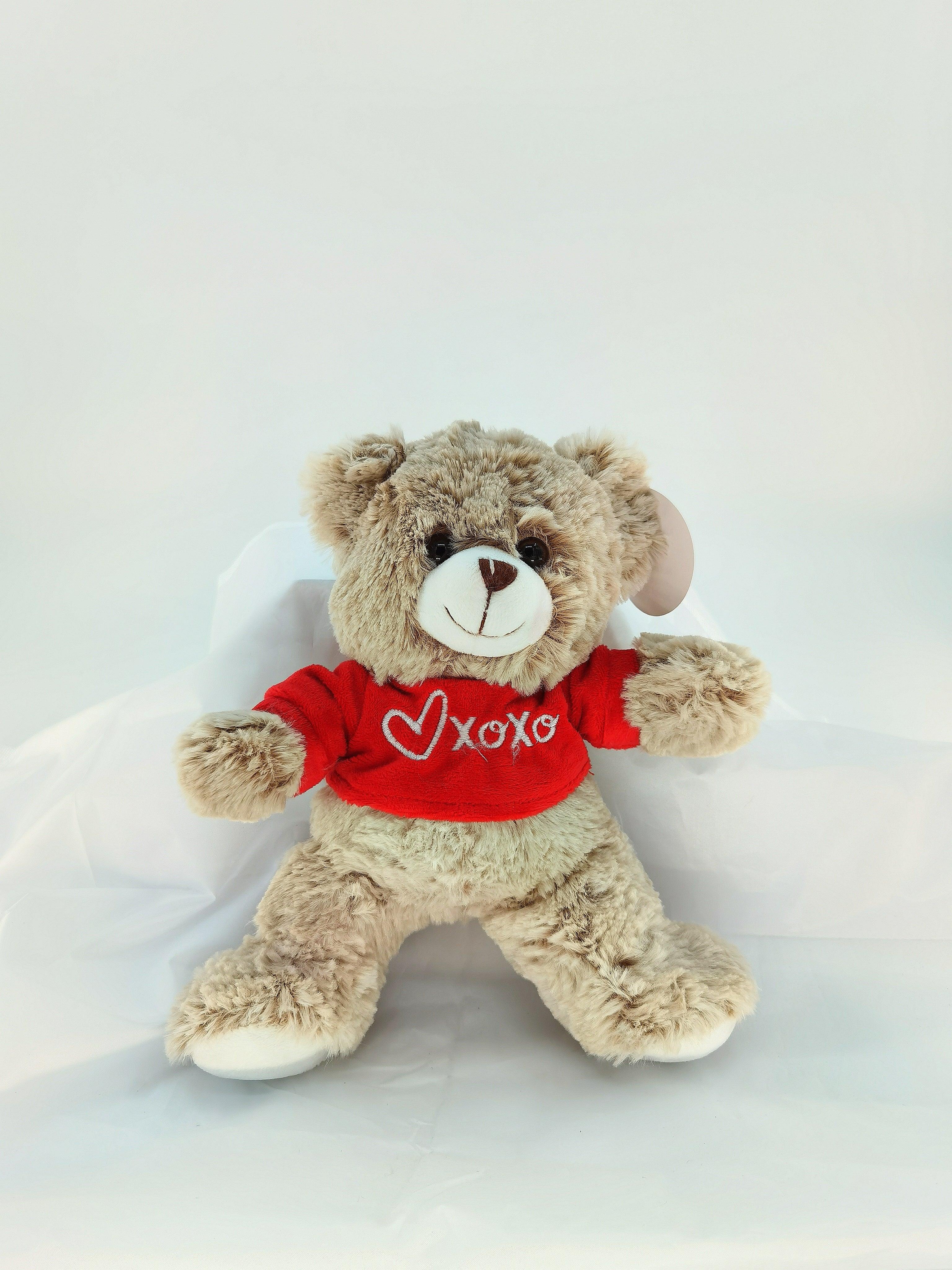 Teddy Bear Same Day FloristMelbourne Flower Delivery Bloom Junction Florist