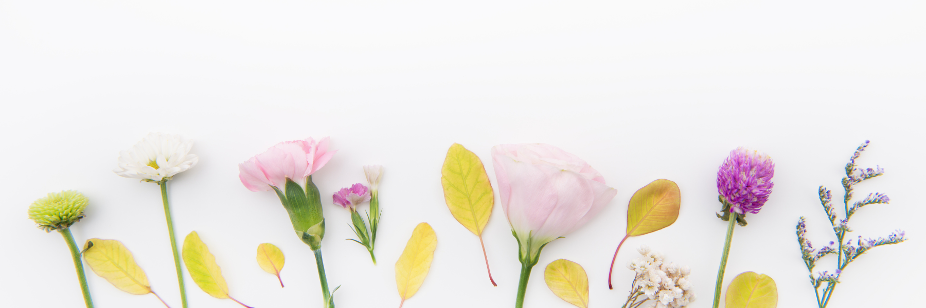 Hoppers Crossing's Premier Florist Fresh Flowers & SameDay Delivery