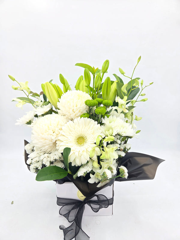 White Sympathy Box
