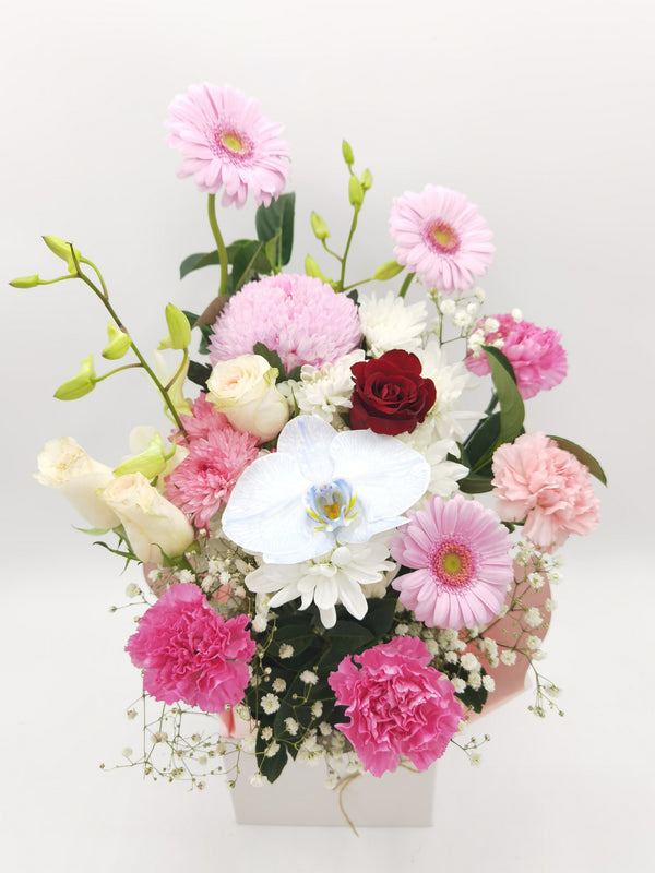 Daily Bloom Fresh Box